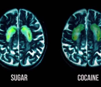 How The Food & Drink Industry Created Addiction